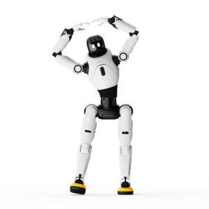 AGIBOT X2 Flagship