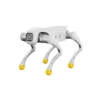 AgiBotD1Edu-1 AGIBOT D1 Edu